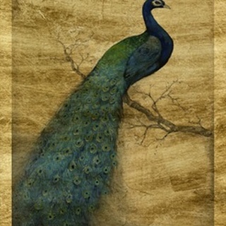 Lustr Peacock Blue I