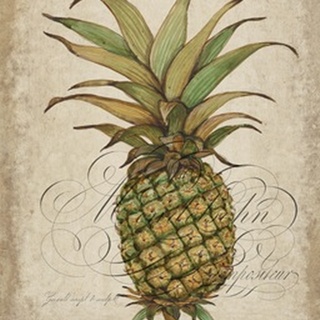 Pineapple Study I