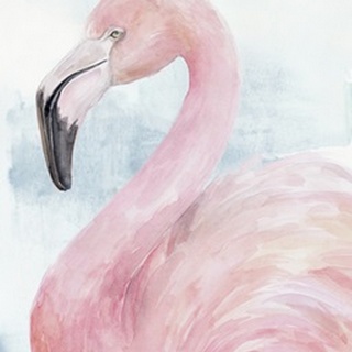 Pink Flamingo Portrait II