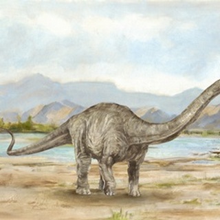 Dinosaur Illustration V