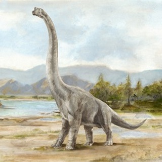 Dinosaur Illustration IV