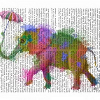 Rainbow Splash Elephant