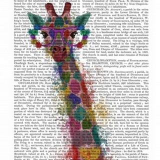 Rainbow Splash Giraffe 1