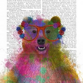 Rainbow Splash Bear