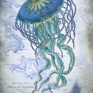 Jellyfish On image of Nautical Map