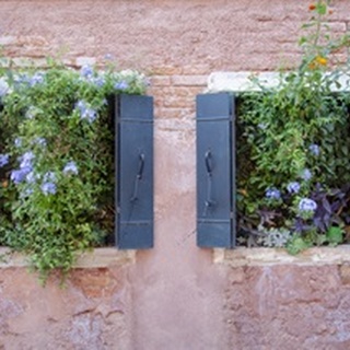 Italian Window Flowers II