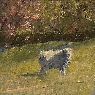 Sheep in Field IV