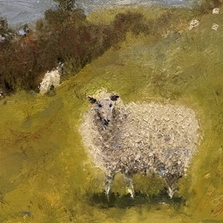 Sheep in Field III