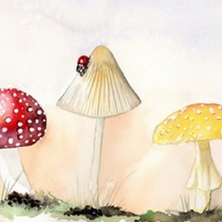 Faerie Mushrooms I