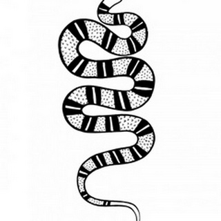 Epidaurus Snake IV