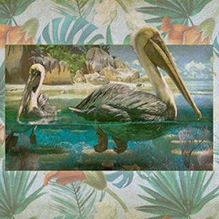Pelican Paradise V