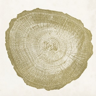 Tree Ring IV