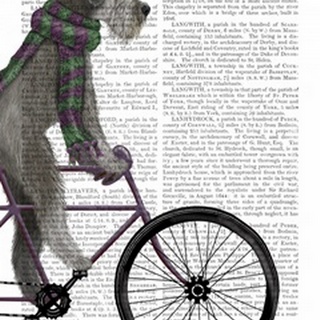 Schnauzer on Bicycle, Grey