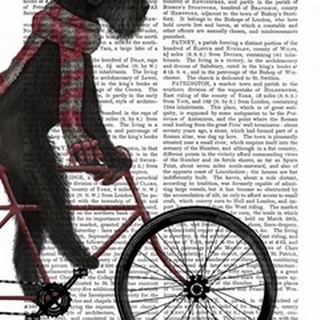 Schnauzer on Bicycle, Black