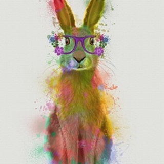 Rainbow Splash Rabbit 1