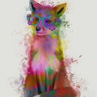 Rainbow Splash Fox 1
