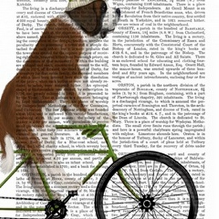 St Bernard on Bicycle