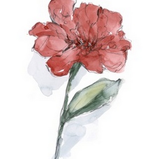 Watercolor Floral Contour IV