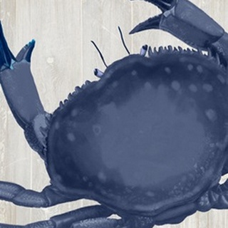 Blue Crab On Grey 4
