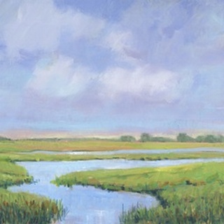 Summer Marsh II