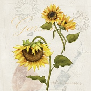 Romantic Sunflowers Collection I