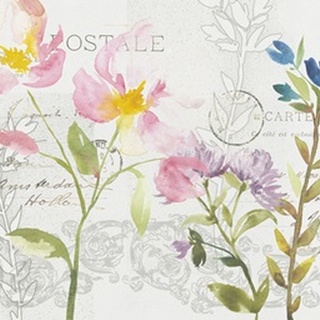 Romantic Watercolor Collection A