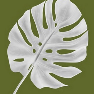 Monstera Leaf 1, White On Green