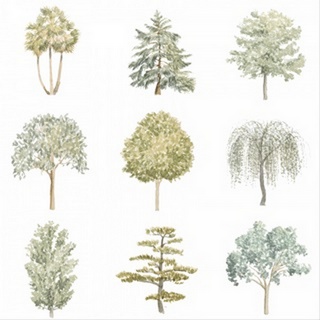 Tree Varieties II