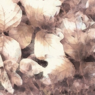 Blush Shaded Leaves IV