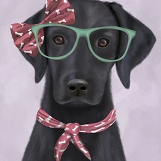 Black Labrador with Glasses and Scarf