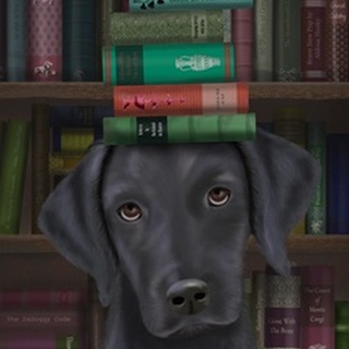 Black Labrador and Books