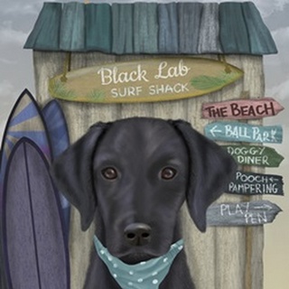 Black Labrador Surf Shack