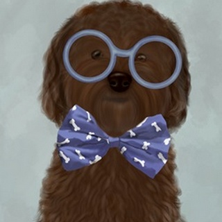 Cockerpoo, Chocolate, with Glasses and Bow Tie