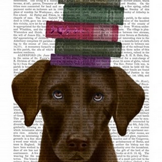 Brown Labrador and Books