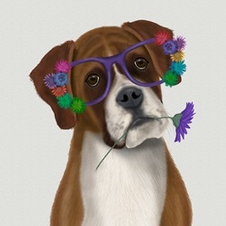 Boxer and Flower Glasses