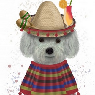 Bichon Frise in Mexican Costume