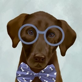 Chocolate Labrador with Glasses and Bow Tie