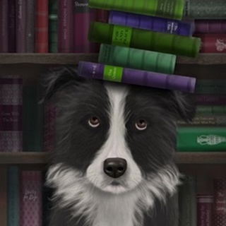 Border Collie, Black and White, and Books