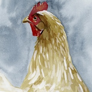 Chicken Portrait I