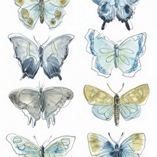 Butterfly Blues I