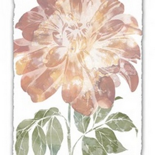 Watercolor Bloom II