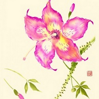Hibiscus Flower III