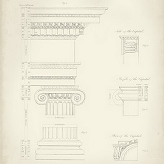Greek and Roman Architecture V