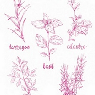 Herb Varieties