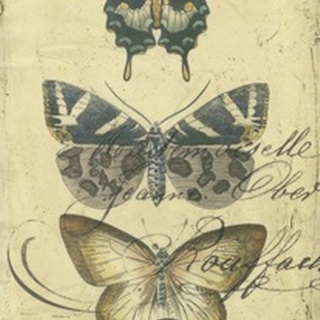 Butterfly Ephemera IV