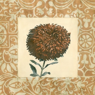 Chrysanthemum Study IV