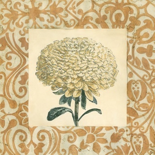 Chrysanthemum Study I