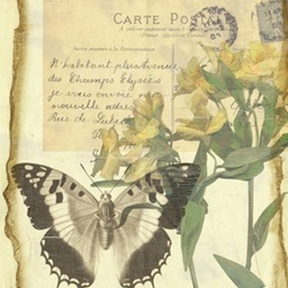 Butterfly Letters II