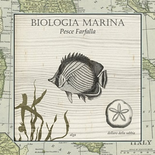 Biologia Marina I