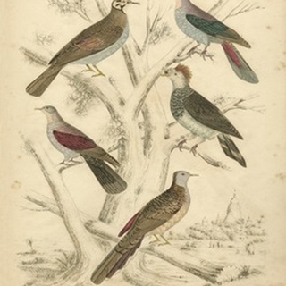 Avian Habitat I